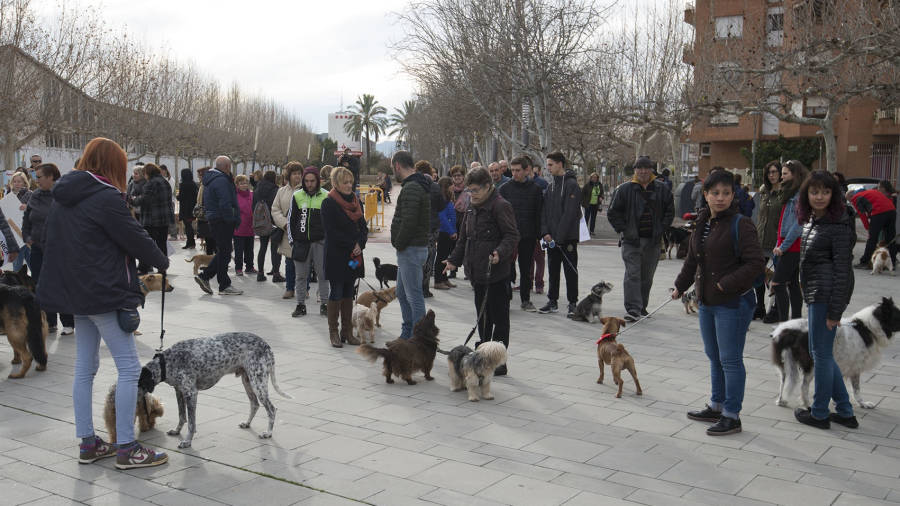 La majoria del concentrats van venir acompanyats dels seus gossos. FOTO: Joan Revillas
