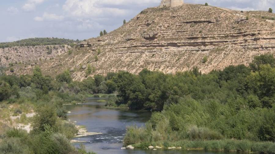 Aspecte que ofereix el riu Ebre al seu pas pel meandre de Flix, a la Ribera d´Ebre. Foto: JOAN REVILLAS