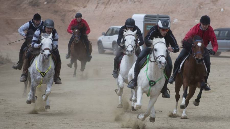Imatge d´un trepidant moment durant les ´corrides´ de cavalls celebrades ahir al migdia al circuit de Sant Antoni d´Ascó. Foto: Joan revillas