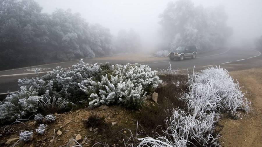 Un vehicle circula per la carretera de Vilalba dels Arcs a la Fatarella, envoltat d'una intensa boira, el passat mes de desmbre. FOTO: J. REVILLAS