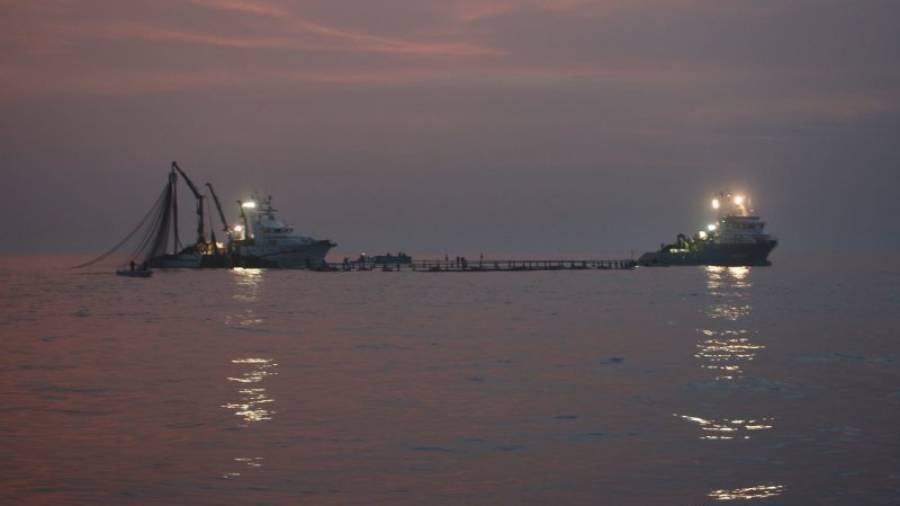 Els nou vaixells del Grup Balfegó han capturat la quota assignada en quatre dies efectius. Foto: Grup Balfegó