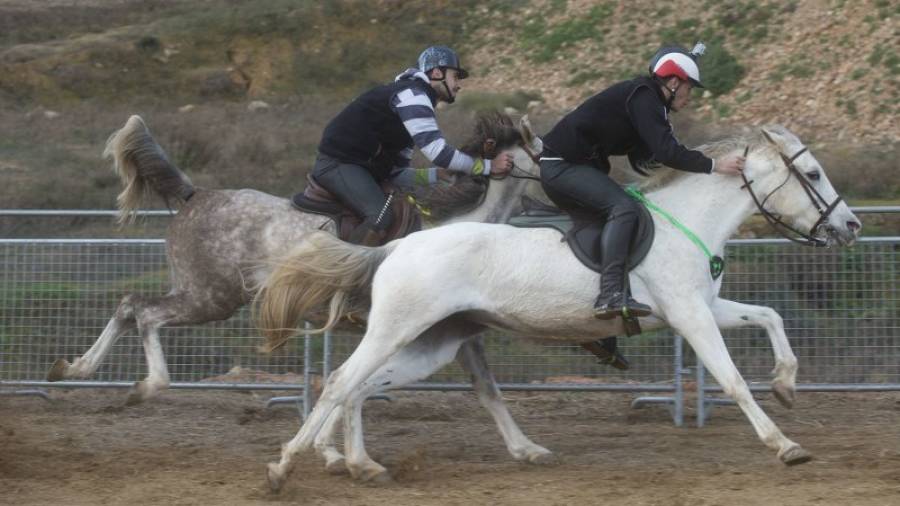 La primera cursa de cavalls, ahir al circuit de Sant Antoni. Foto: Joan Revillas