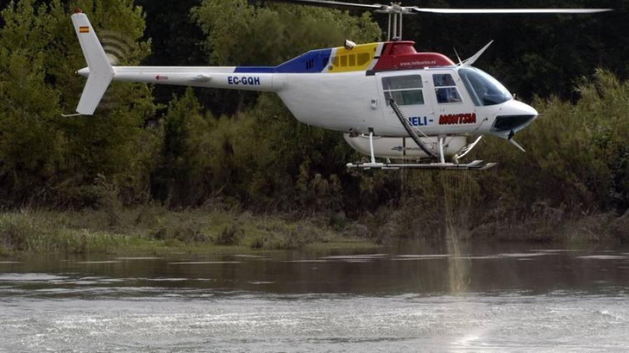 Un helicòpter llençant larvicida al riu Ebre. Foto: DT