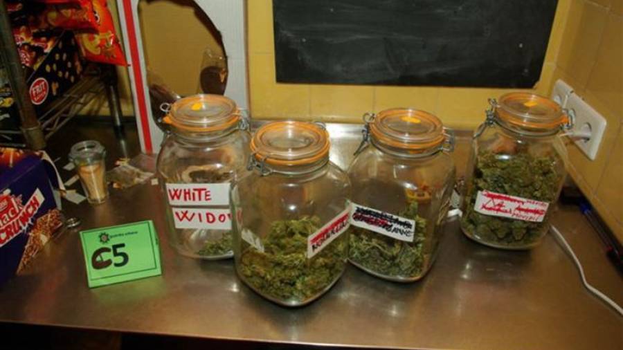 Parte de la marihuana se encontró en unos botes herméticos en el mostrador. Foto: DT
