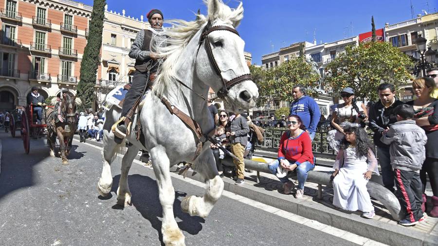Uno de los atractivos ha sido poder contemplar a Goliat, el caballo m&aacute;s grande de Catalunya. FOTO: A.G.