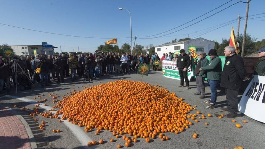 Com a part de la protesta es van abocar uns 2.000 quilos de mandarines. Foto: Joan Revillas