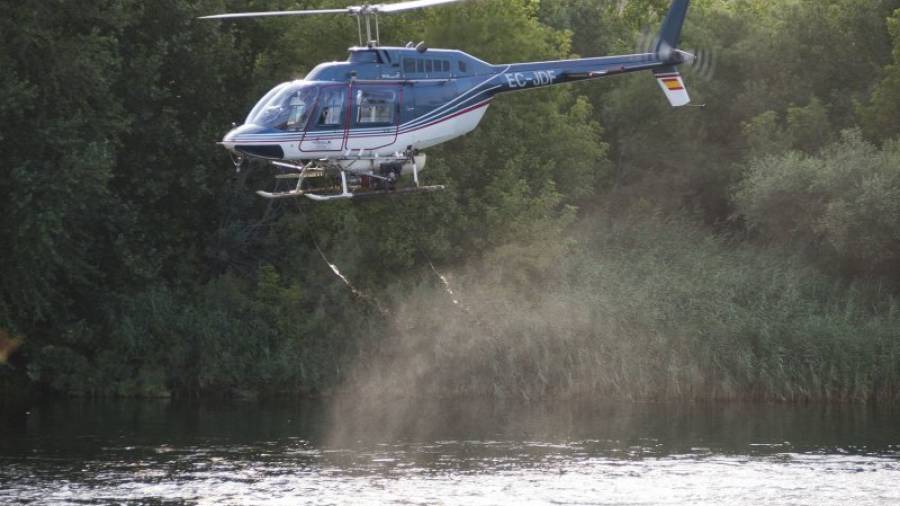 Imatge d'un tractament aeri amb l'insecticida biològic BTI al riu Ebre. Foto: J. REVILLAS