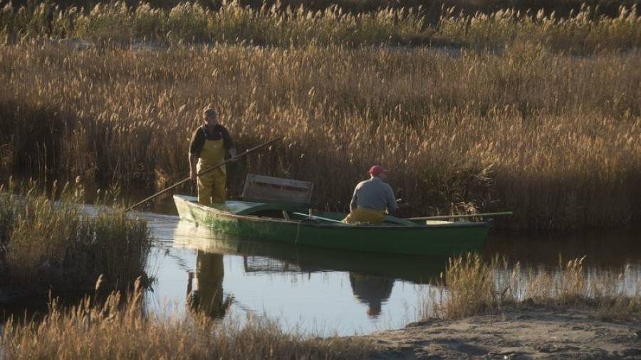 Dos pescadores desarrollando su actividad.foto: joan revillas