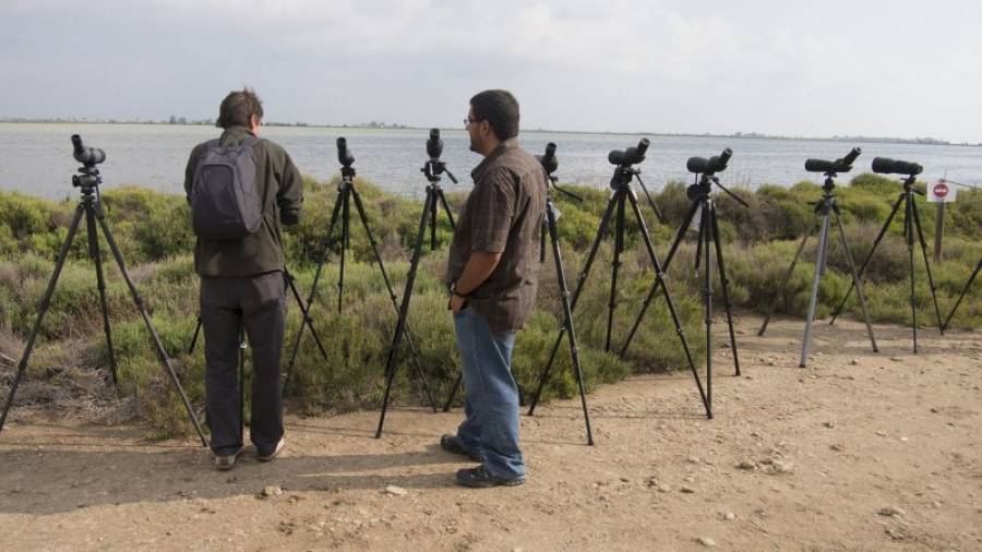 Dos ornitòlegs a punt d´observar les diferents espècies d´ocells del Delta. Foto: Joan Revillas