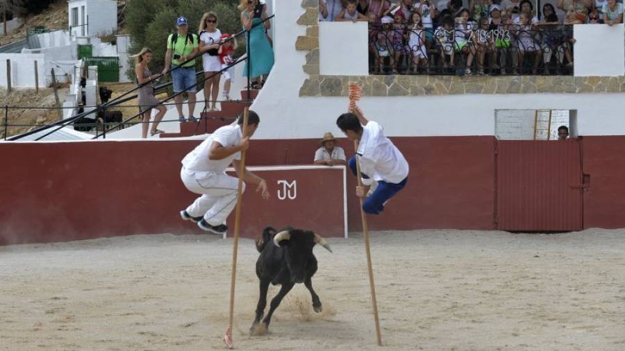 Imatge d´arxiu d´un espectacle en una ramaderia d´Alfara de Carles. Foto: Joan Revillas