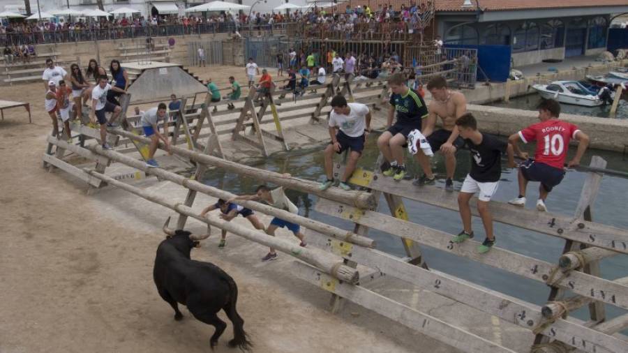 Participantes en una jornada de bous en Les Cases d´Alcanar (Montsià), celebrada durante el año pasado. Foto: Joan Revillas