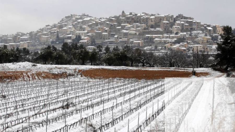 Un camp de vinya emblanquinat per la neu, amb el poble d'Horta de Sant Joan al fons, en una imatge d'arxiu.
