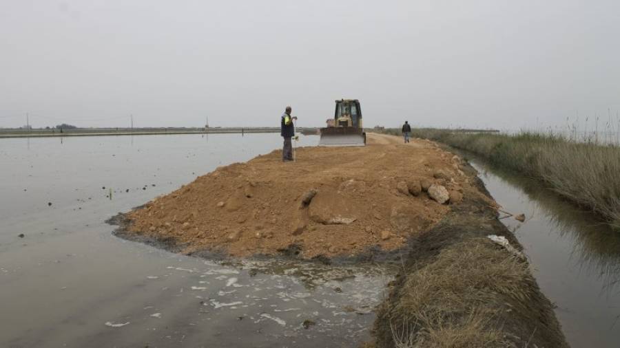 Estat actual de les obres al litoral de la badia dels Alfacs, al marge dret del Delta. Foto: Joan Revillas