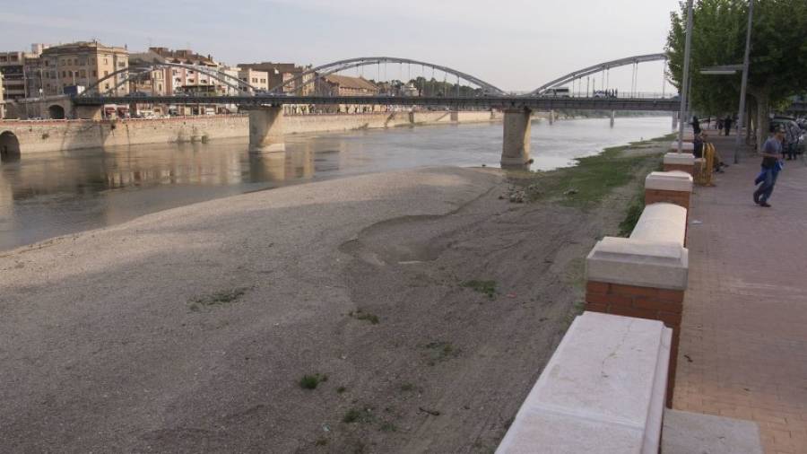 Aquest és l\'estat actual del riu Ebre al seu pas per Tortosa, vist des del barri de Ferreries. Foto: Joan Revillas