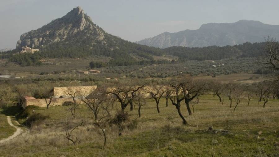 La muntanya de Santa Bàrbara, al terme d´Horta de Sant Joan, formaria part de l´ampliació. Foto: JOAN REVILLAS