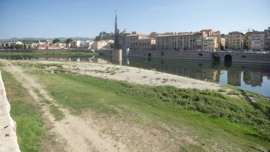 Estat actual del riu Ebre a Tortosa, amb un cabal de 90 metres cúbics per segon. Foto: joan revillas