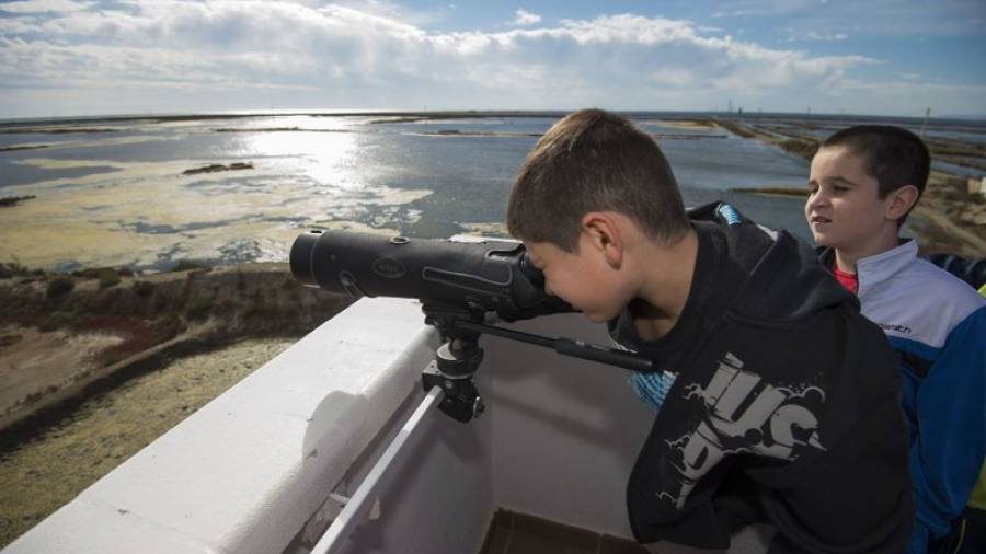 Dos nens, observant els paisatges, la flora i fauna del Delta des del mirador de MónNatura. Foto: Joan Revillas