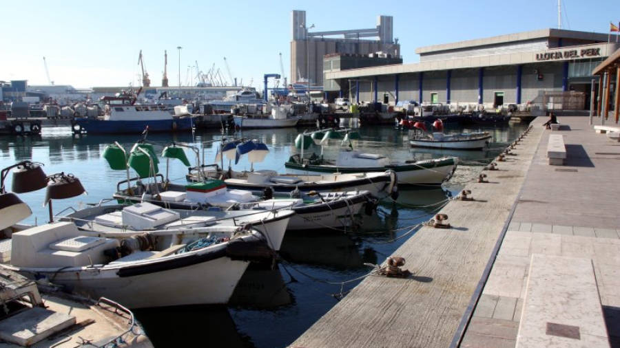 Barques de pescadors al barri del Serrallo de Tarragona, amb l'edifici de la Llotja de Peix al fons. Foto: ACN