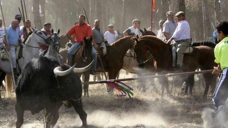 Fotografía de archivo tomada en Valladolid el 12/09/06 de la celebración del Toro de la Vega, en Tordesillas (Valladolid). Foto: EFE