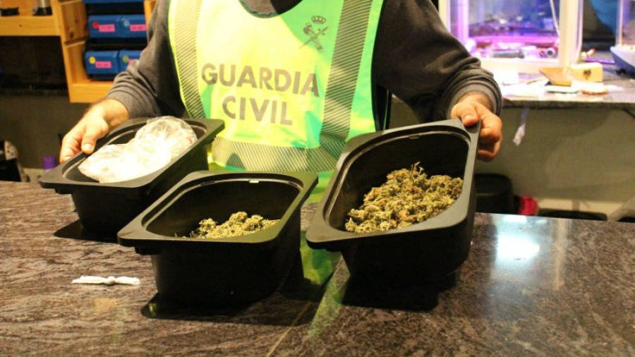 Pla detall de la marihuana intervinguda en una associació cannàbica a Salou. Imatge del 31 de març de 2016. Foto: ACN