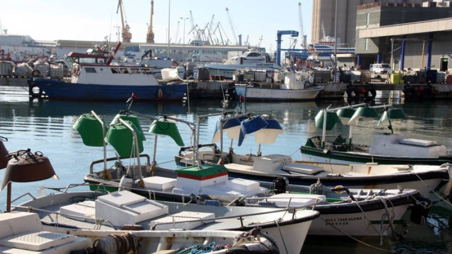 Barques de pescadors al barri del Serrallo de Tarragona. Foto: ACN