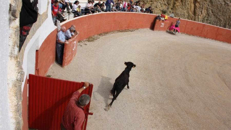 Imatges d'una capea, celebrada l'any 2010 a la ramaderia Mur d'Alfara de Carles, amb el torero Serafin Marín. Foto: ACN
