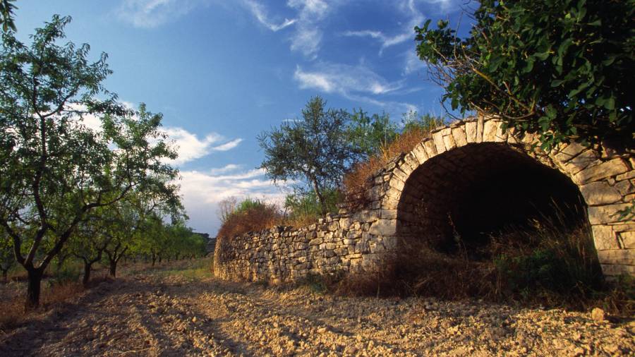 Imatge d’una construcció en pedra en sec a la Fatarella, a la Terra Alta. FOTO: JOAN REVILLAS