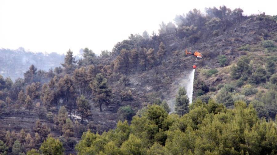 Un helicòpter del dispositiu dels Bombers remullant tots els punts calents del foc per tal d´evitar revifalles en l´incendi d´ahir. Foto: Bombers