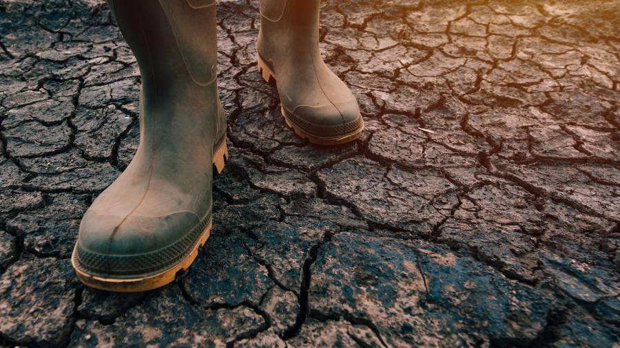 Agricultor con botas caminando sobre suelo seco, el cambio clim&agrave;tico&nbsp;es innegbale. FOTO: CEDIDA