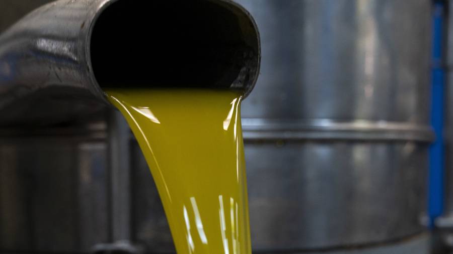 El aceite de oliva, la joya beneficiosa para la salud de la dieta mediterránea