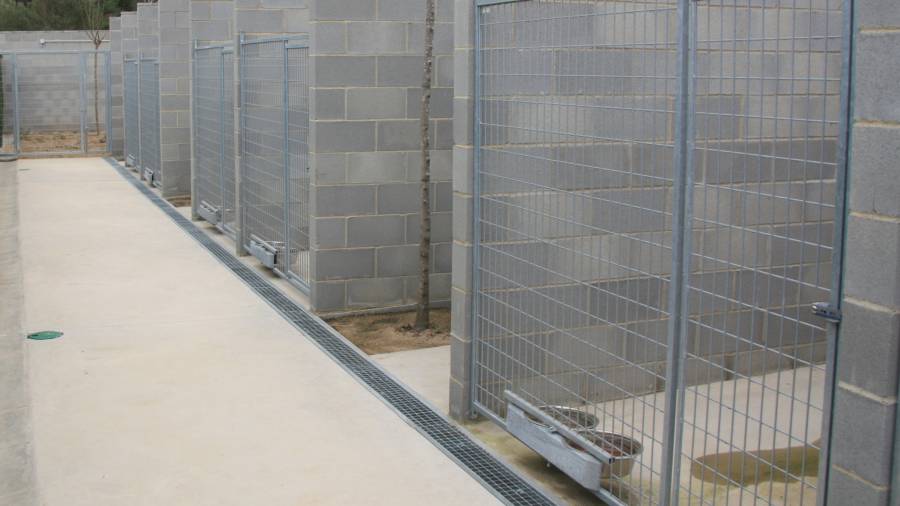 Se espera poder acoger también a animales de otras protectoras. Foto: ACN