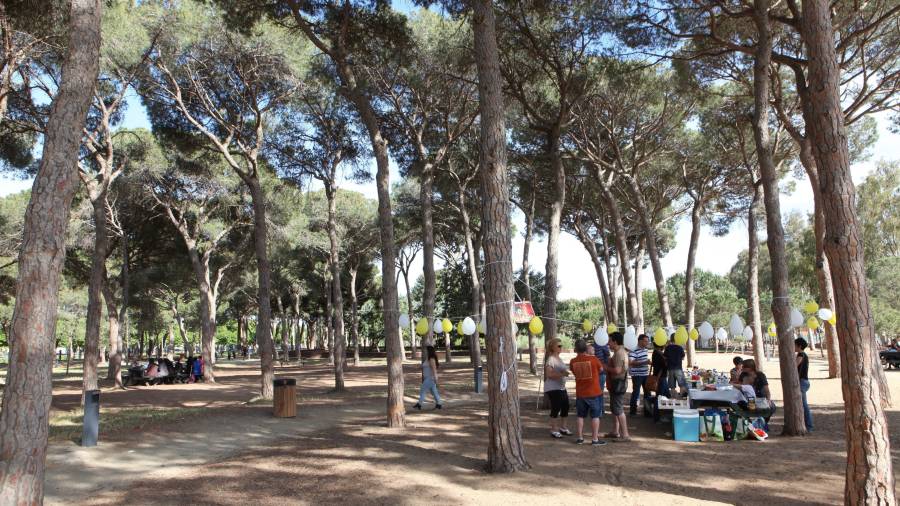 Imatge d'arxiu del Parc del Pinaret de Cambrils. Foto: Alba Mariné/DT