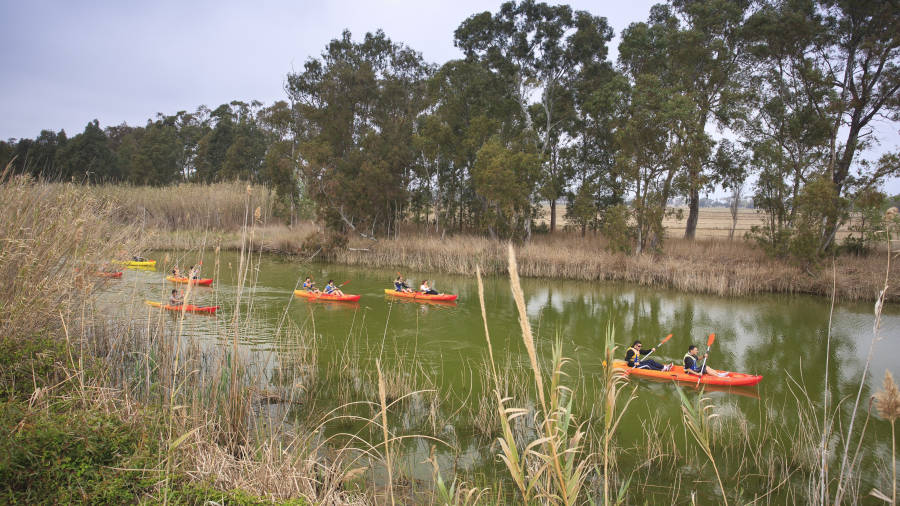 Descenso en kayak por el R&iacute;o Ebre. FOTO: patronat de turisme de la diputaci&oacute; de tarragona