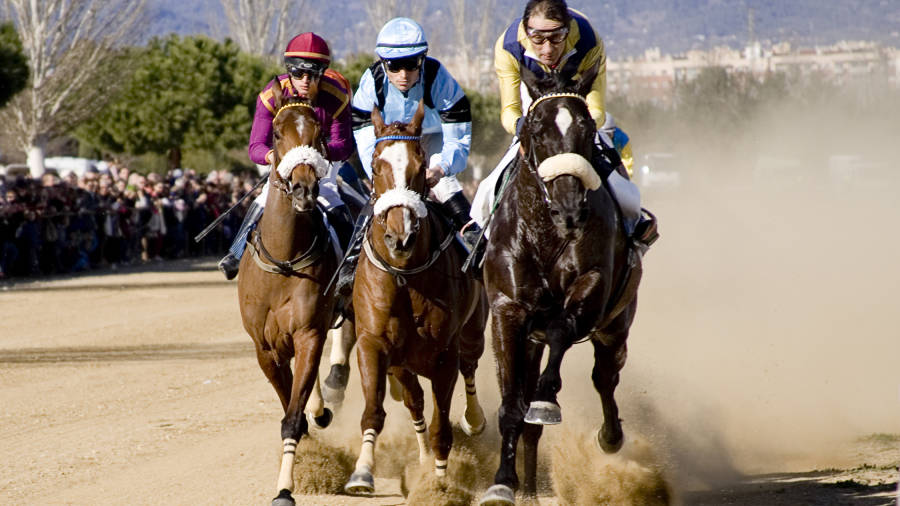 Cursa de cavalls a l'hip&ograve;drom del Parc de la Torre d'en Dol&ccedil;a. FOTO: Aj. Vila-seca