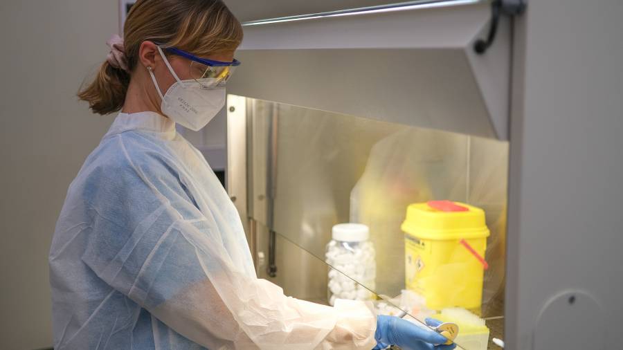 Una operaria en el laboratorio tarraconense Eldine. Foto: Fabi&aacute;n Acidres