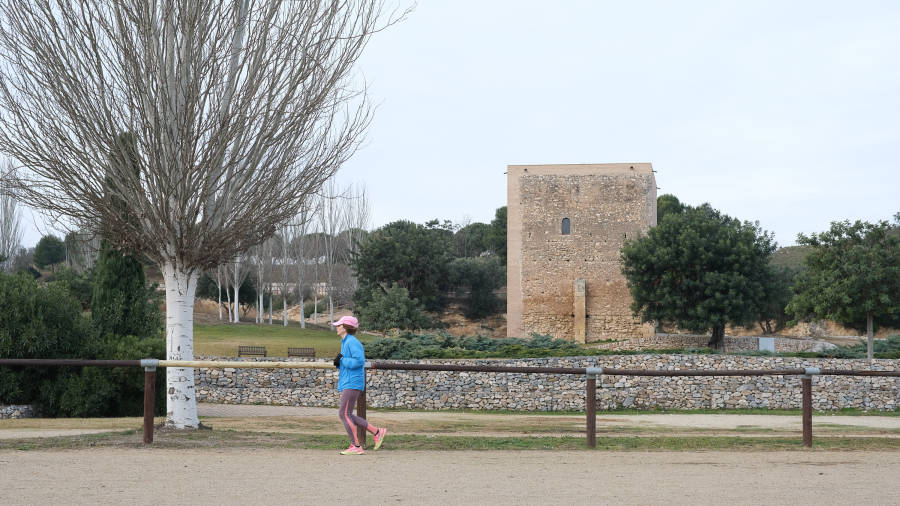 El hipódromo está situado en el Parc de la Torre d’en Dolça.&nbsp;FOTO: Fabián Acidres