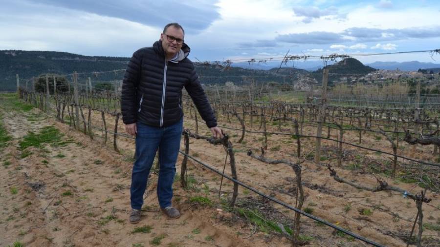 Josep Grau, a les seves vinyes ubicades a Marçà, a la comarca del Priorat. Foto: Montse Plana