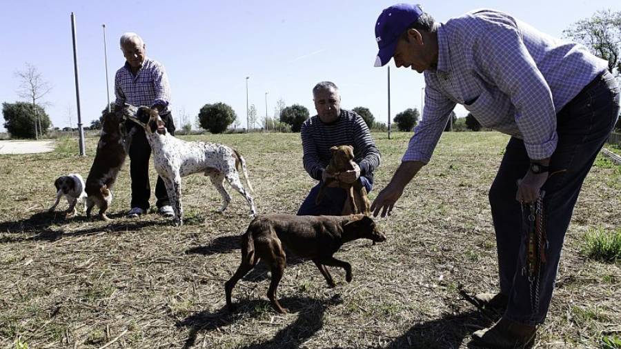Miembros de la Societat de Caçadors \'El Lince\' junto con sus perros en el terreno municipal. Foto: Alba Mariné