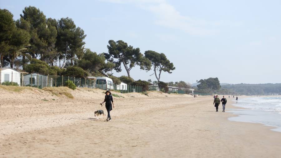 La playa está quedando cada vez más estrecha. Se necesitan medidas urgentes para combatir contra el cambio climático. FOTO: ALBA MARINÉ