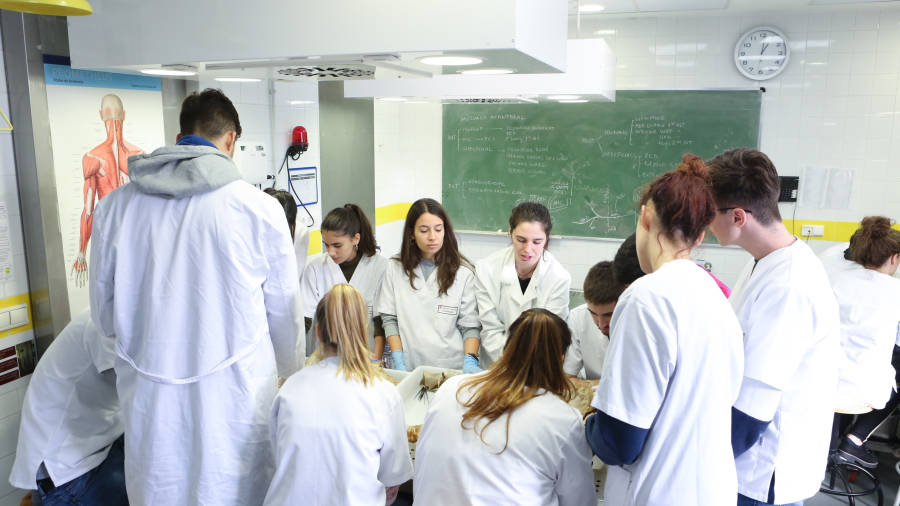 Estudiantes de la Facultat de Medicina de la URV, en Reus, en una clase de prácticas. FOTO: Alba Mariné