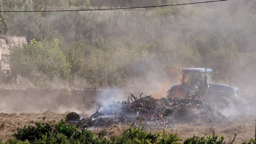 Crema de restes agrícoles en una finca de cítrics. foto: Joan REvillas