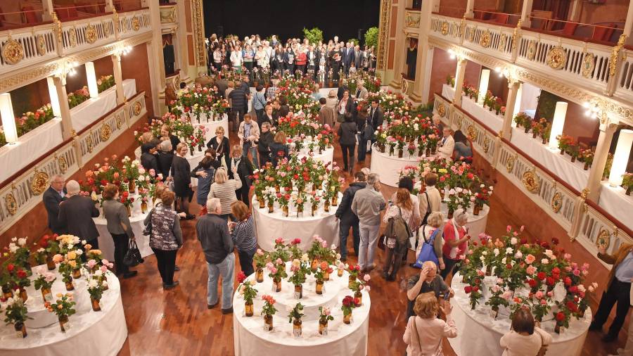 Foto de archivo de la la platea del Teatre Bartrina llena de rosas por el 70è Concurs Exposició Nacional de Roses. FOTO: ALFREDO GONZÁLEZ