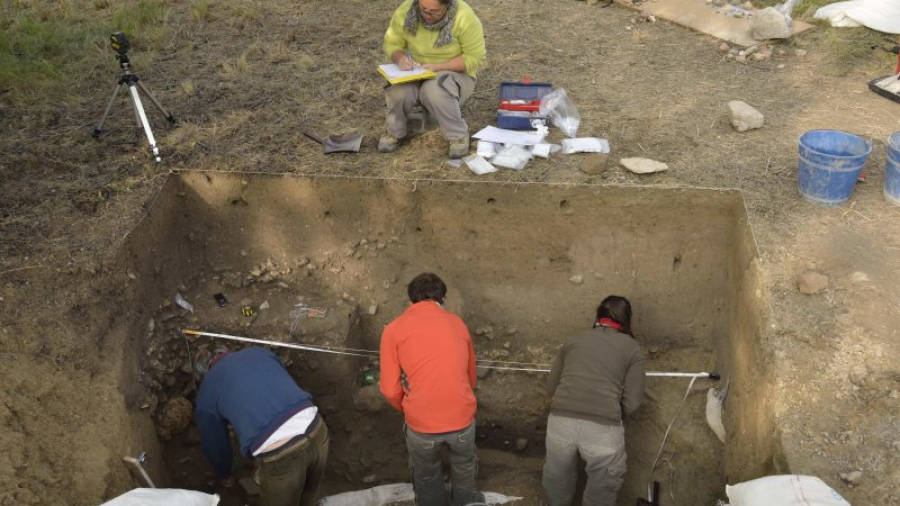 Pla general d'arqueòlegs treballant en la nova campanya d´excavació al jaciment del Cavet a Cambrils (Baix Camp), en una imatge publicada l'11 de novembre del 2016