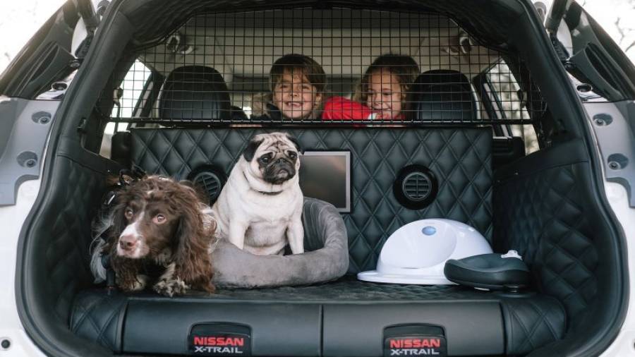 Nissan crea el prototipo de crossover familiar definitivo adaptado para perros.