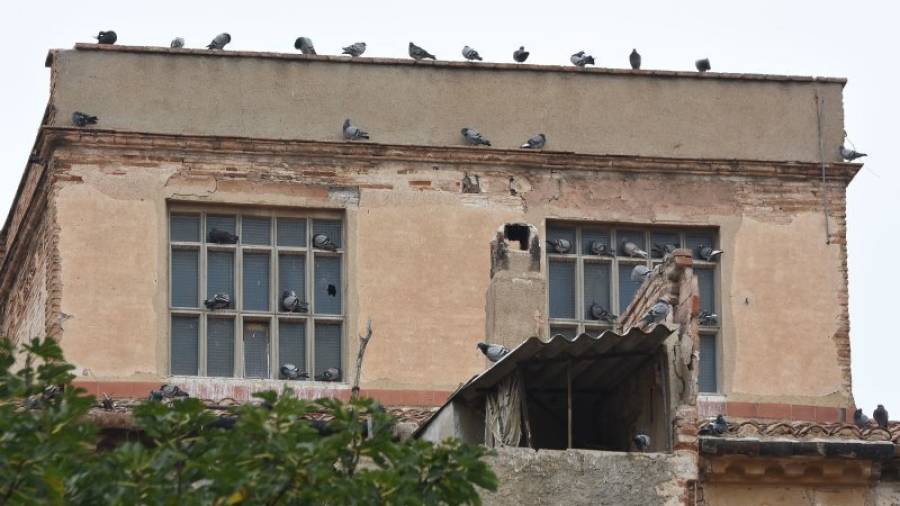 Los edificios desocupados de la calle Sant Francesc y Sant Benet están infestados de palomas y muy degradados. Presentan graves problemas de insalubridad. Foto: A.G