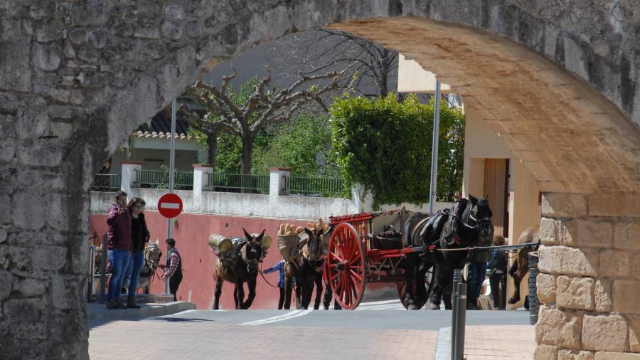 En aquesta edici&oacute; han participat 38 carros. FOTO: &Agrave;. J