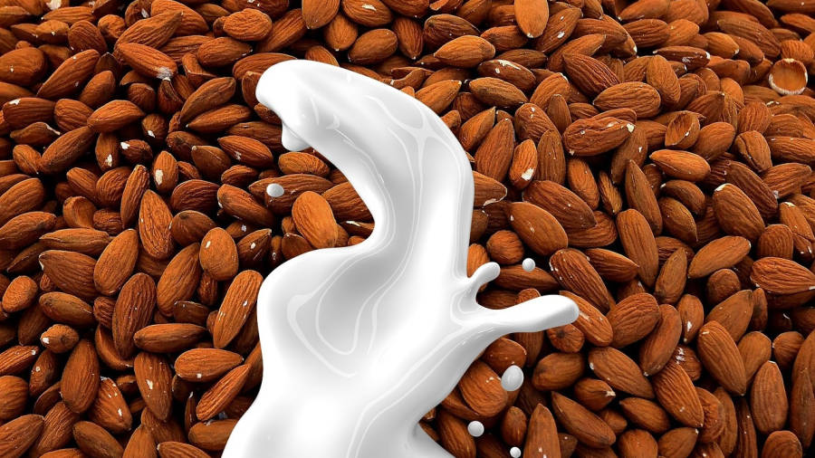 La leche de almendras tiene una cantidad muy baja de prote&iacute;nas y micronutrientes. Foto: Pixabay