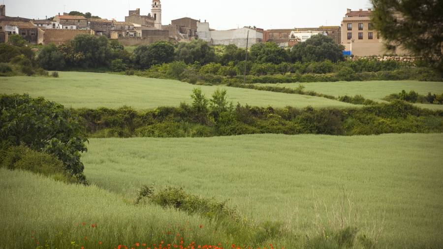Imatge d´un dels paisatges panoràmics del poble de la Secuita que es poden trobar durant el recorregut que permetrà descobrir l´interior rural del Tarragonès. FOTO: CEDIDA