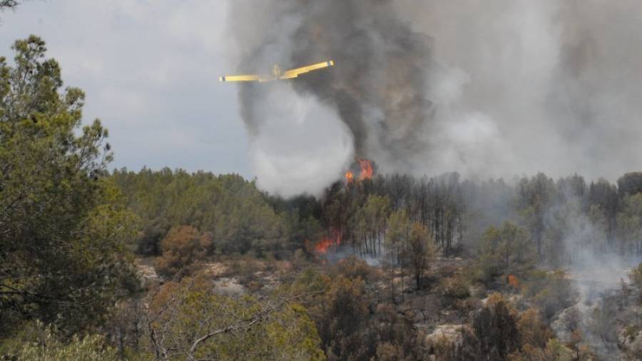 Una avioneta tirant aigua sobre el flanc esquerre d'un incendi al Camp de Tarragona el passat mes de juliol. FOTO: ÀNGEL JUANPERE