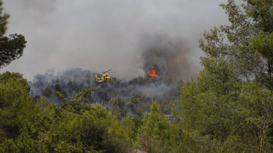 El foc ha afectat a quatre termes municipals del Tarragonès i Baix Penedès. Foto: Àngel Juanpere